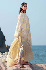 AFROZEH SUMMER TOGETHER 25