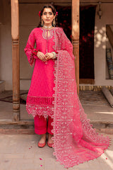 Nureh Maya Chandni Chowk Lawn