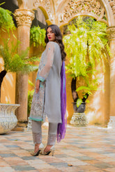 ZS Textiles Kalyan Chiffon Embroidered