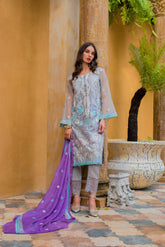 ZS Textiles Kalyan Chiffon Embroidered