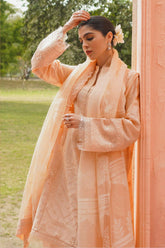 Zara Shahjahan Coco Spring Summer
