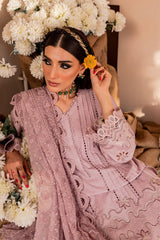 Nureh Maya Chandni Chowk Lawn