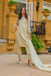 ZS Textiles Kalyan Chiffon Embroidered