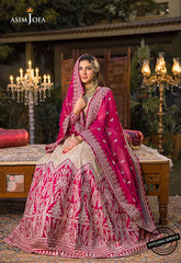 Asim Jofa Baad-e-Naubahar