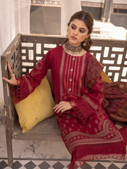 Aalaya Anarkali Winter