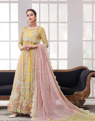Soghat Luxury Embroidred Chiffon
