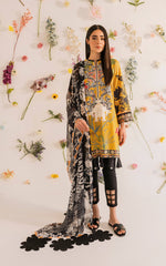 Asifa & Nabeel Meraki Summer Lawn