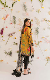 Asifa & Nabeel Meraki Summer Lawn