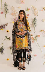 Asifa & Nabeel Meraki Summer Lawn