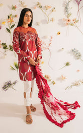 Asifa & Nabeel Meraki Summer Lawn