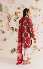 Asifa & Nabeel Meraki Summer Lawn