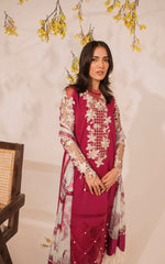 Asifa & Nabeel Meraki Summer Lawn