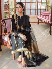 RajBari Nissa Festive