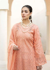 Aafreen Chikankari Schiffli Lawn