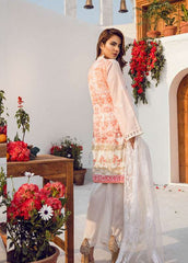 Al Zohaib Premium Lawn
