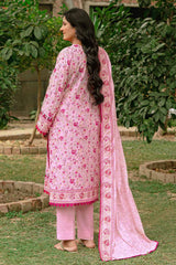 Gul Ahmed Tribute