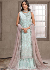 Zarif Falak Festive