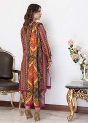 Identic Specail Edition