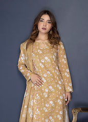 Identic Specail Edition