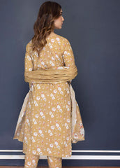 Identic Specail Edition