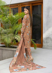 Identic Specail Edition