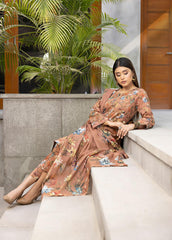 Identic Specail Edition