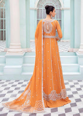Mushq Roheenaz Luxury Chiffon
