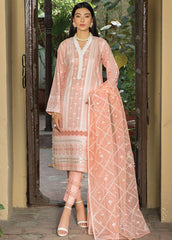 Lakhany Luxe Festive