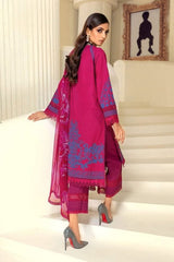 Muzlin Winter Collection