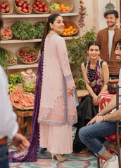 Mushq De Verano Festive