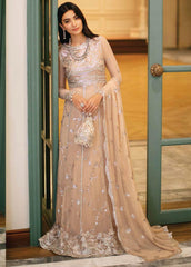 Mushq Roheenaz Luxury Chiffon