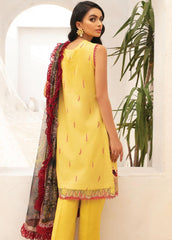 Mushq Roheenaz Summer