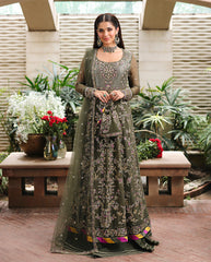 Roheenaz Aangan Chiffon Collection 25