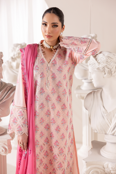 Raj Bari premium edition '26