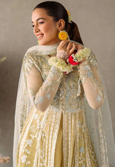 Mushq Mastani Evening Chiffon-D106