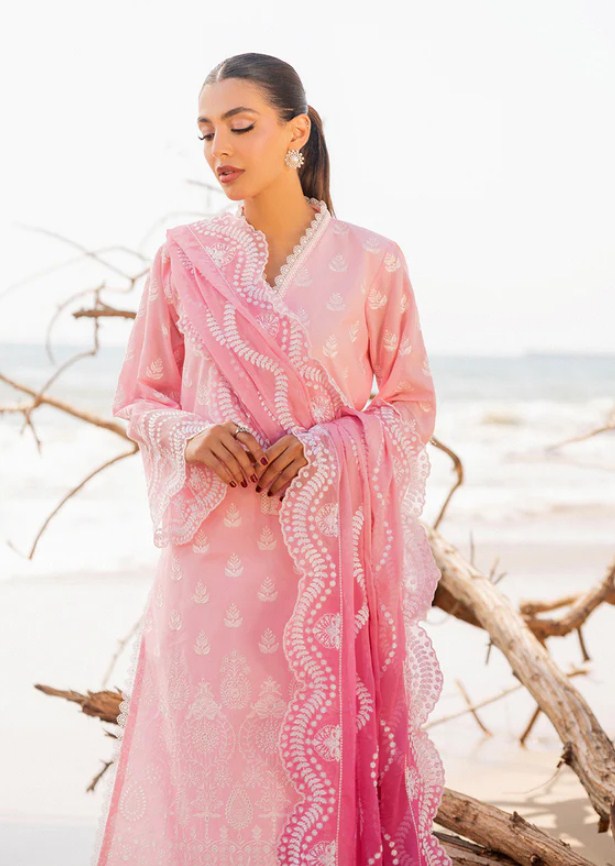ZC Chikankari Luxury -AMYRA-8B