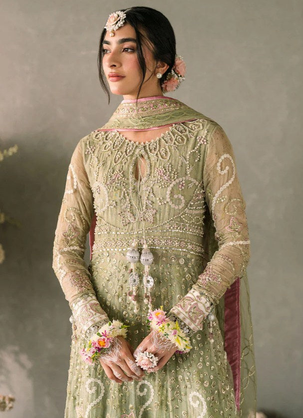 Mushq Mastani Evening Chiffon-D110