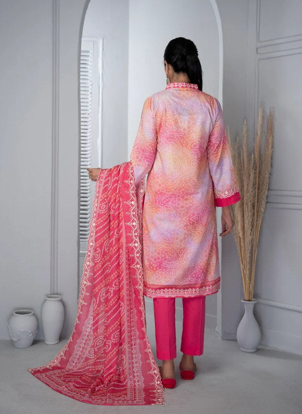 VS Zynah Chikankari -D-339