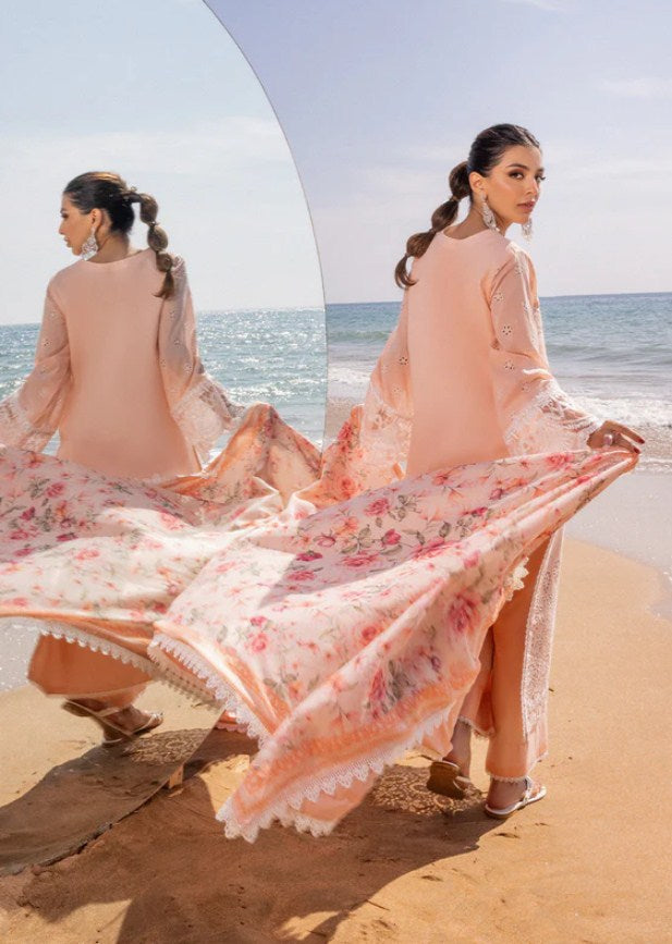 ZC Chikankari Luxury -NORA - 2A