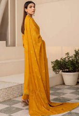 Aanchal Emb Dhanak