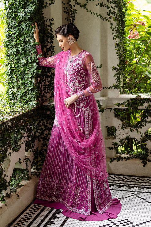 Inception Hemline Wedding'25 By Mushq
