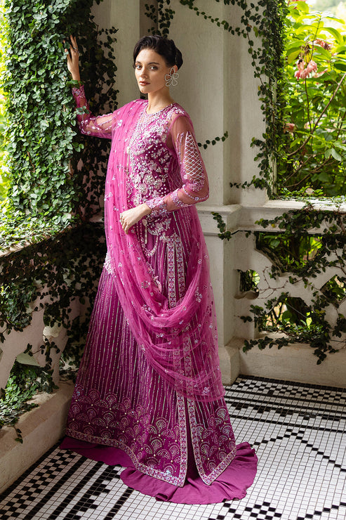 Inception Hemline Wedding'25 By Mushq