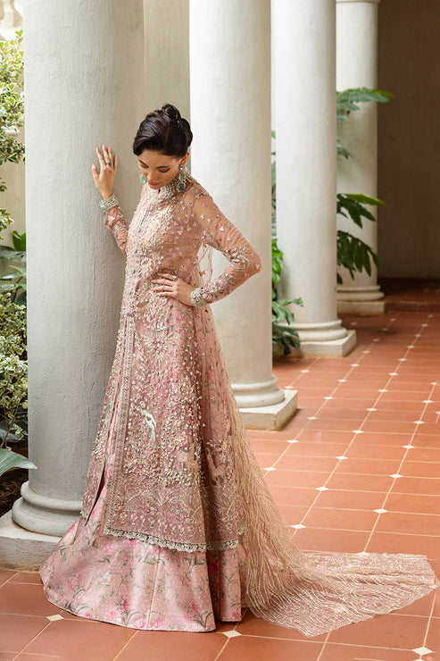 Inception Hemline Wedding'25 By Mushq