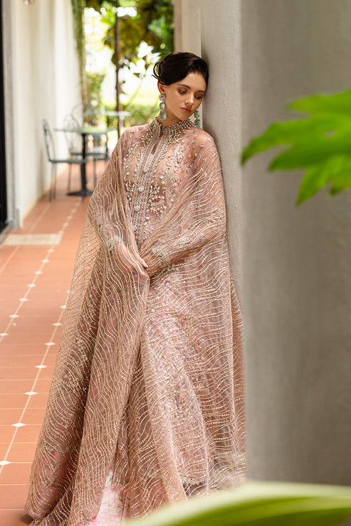 Inception Hemline Wedding'25 By Mushq