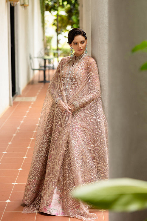 Inception Hemline Wedding'25 By Mushq