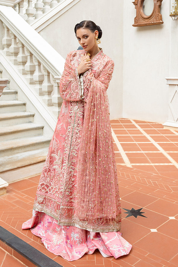 Inception Hemline Wedding'25 By Mushq