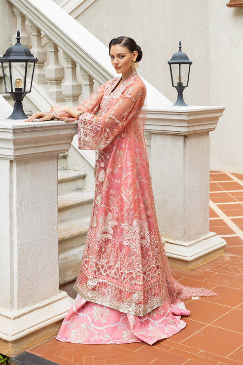 Inception Hemline Wedding'25 By Mushq
