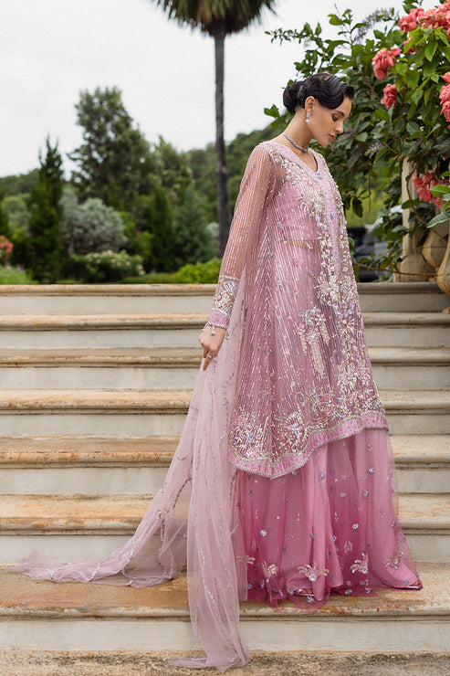 Inception Hemline Wedding'25 By Mushq