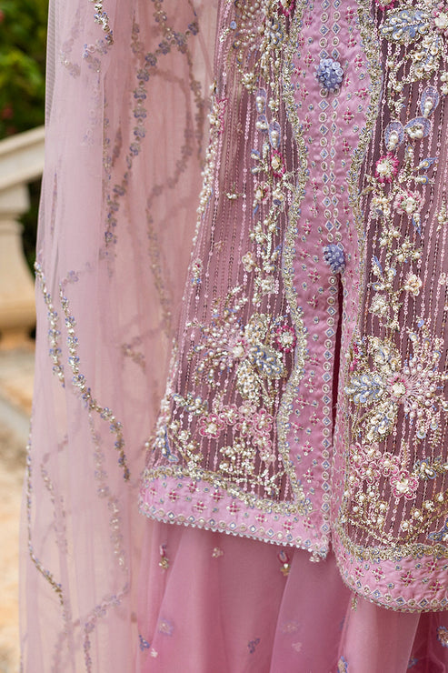 Inception Hemline Wedding'25 By Mushq