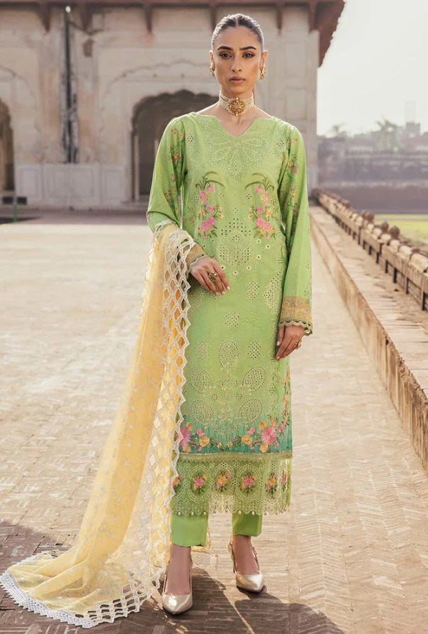 Rajbari Chikankari Winter